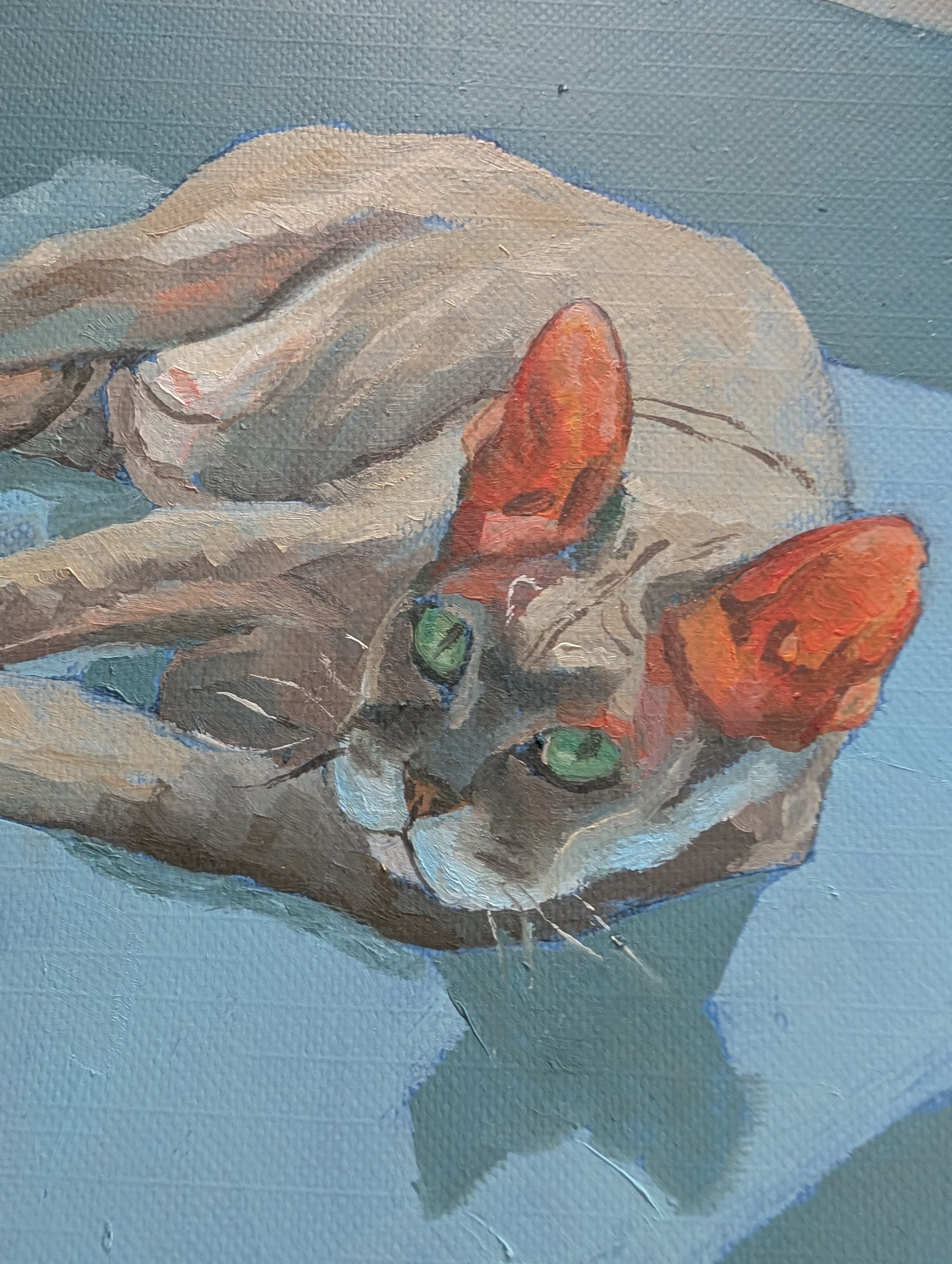 Blue sheet, oil on board