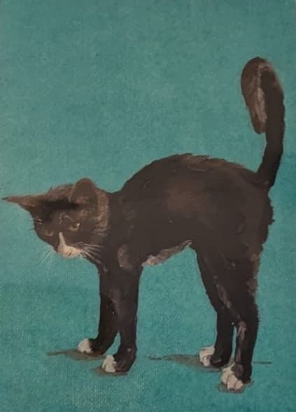 Black cat, oil on board